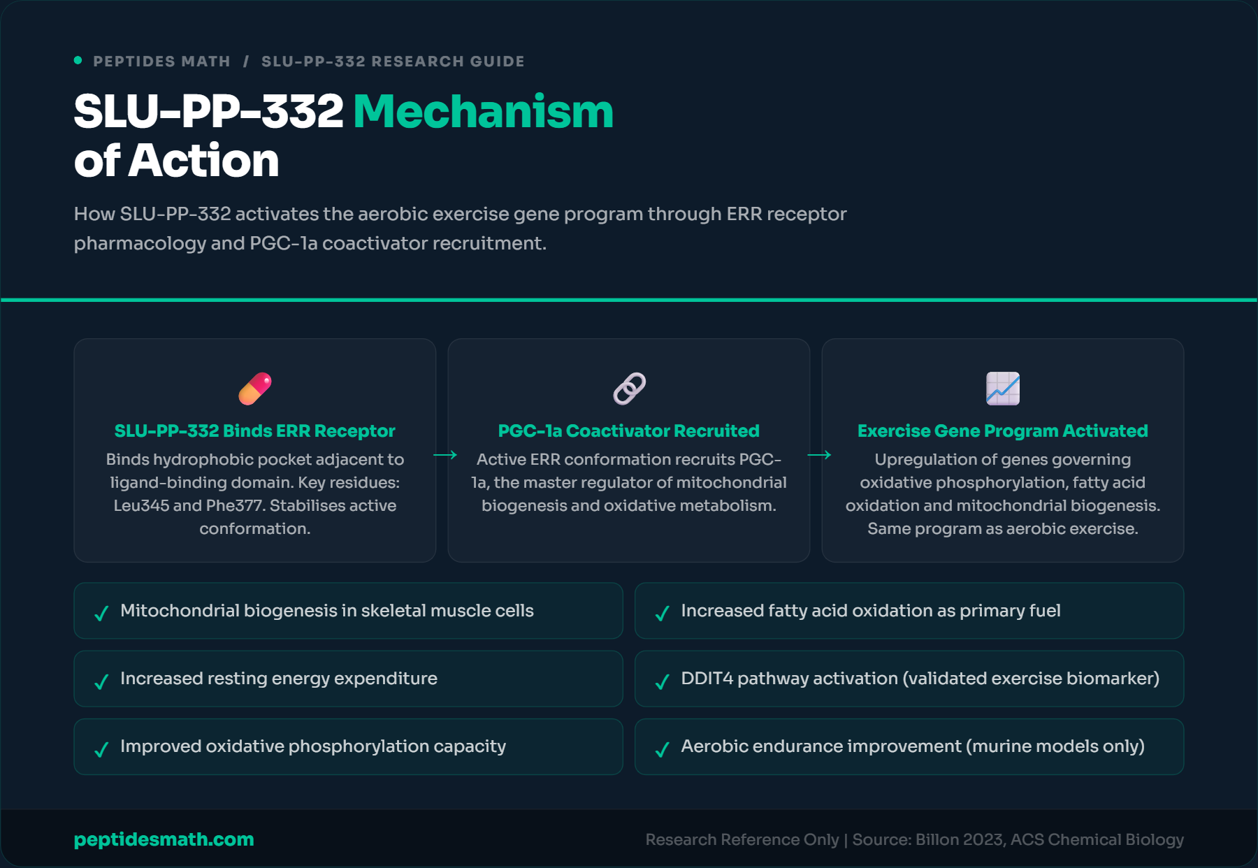 SLU-PP-332 Mechanism of Action